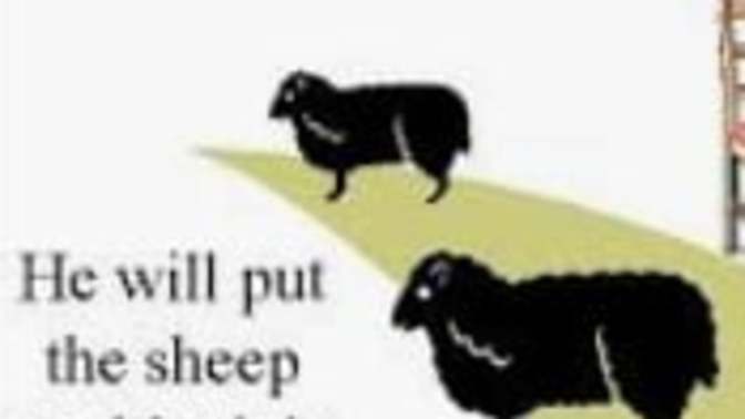 What I learned from the sheep and the goats