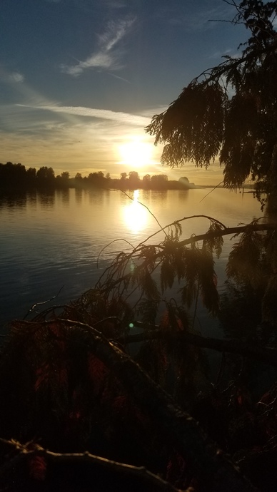 Hello setbacks my old friend... Ive come to wallow with you again!