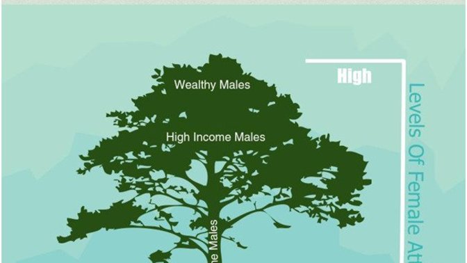 The truth about Indian women, dating, and hypergamy that you don't see on media
