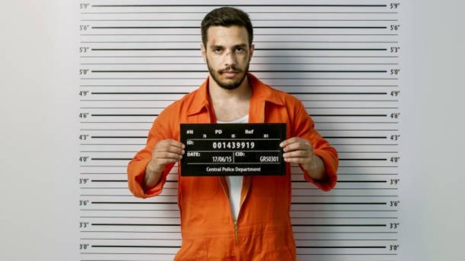 The Criminal Cop