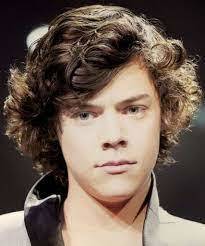 Harry Styles doesnt have all of these characteristics, but his hair is still type 2A + Luscious voluptuous Curls