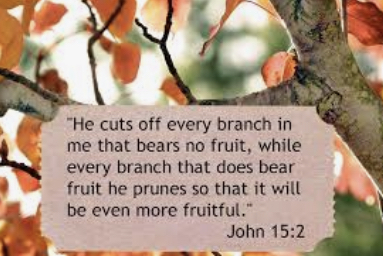 How I understand the discipline of God