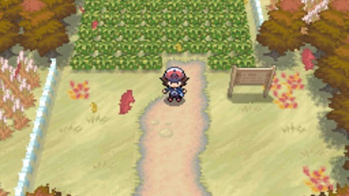 POKEMON WHITE