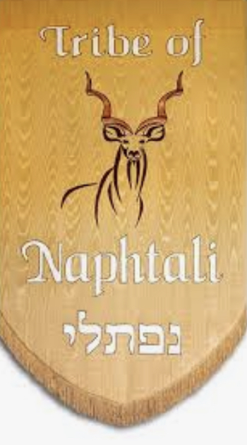 How a Christian like me views the 12 Tribes of Israel