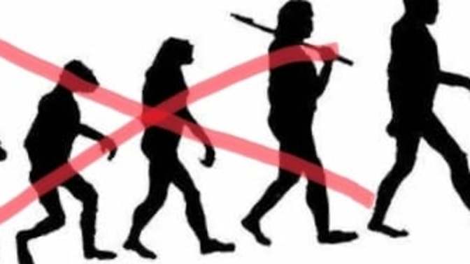 Wait did we evolve from apes or... not? The Evolution theory
