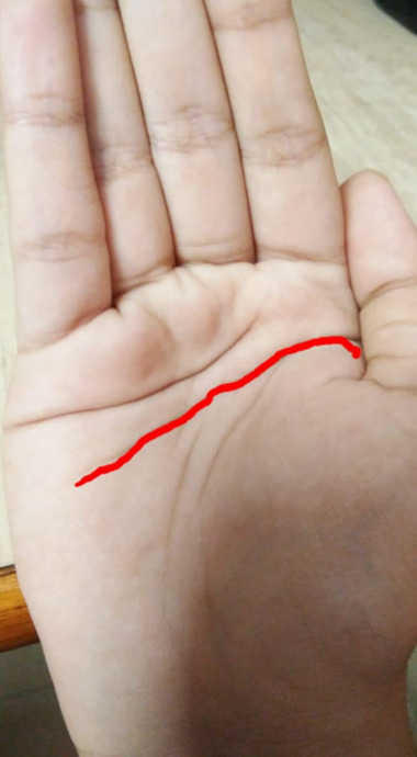 Palmistry (Palm reading)