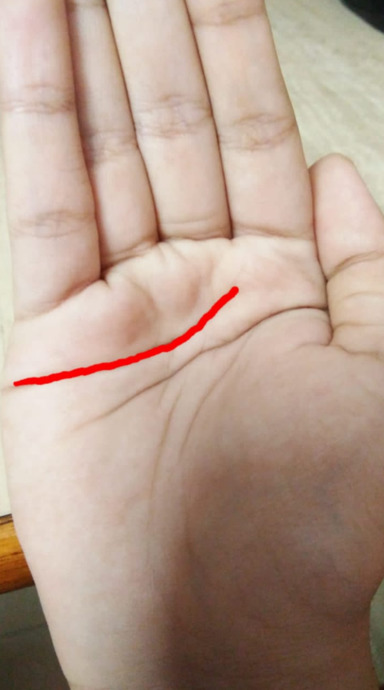 Palmistry (Palm reading)