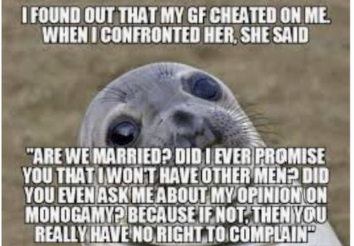 Men arent meant to be monogamous, its not in their nature...True statement or bull excuse?