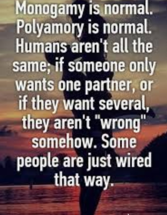 Men arent meant to be monogamous, its not in their nature...True statement or bull excuse?