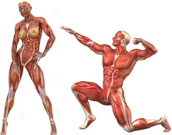 How to Defend yourself Against a WOMAN. Self-defense for HUMANS.