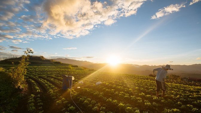 Does your Educational Degree define you? From a rising star Farmer!