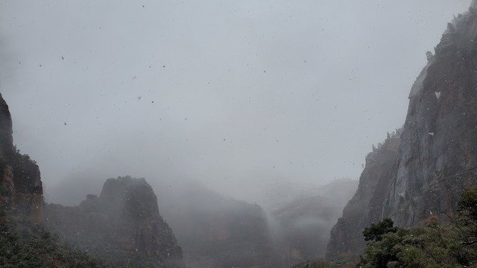 Zions National Park