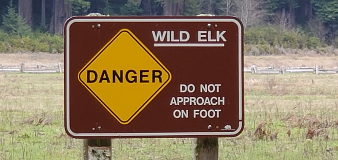 Cause we wouldnt want any Elk to get hurt