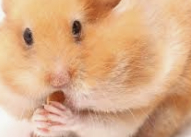 What the bible says about God exposing fake believers