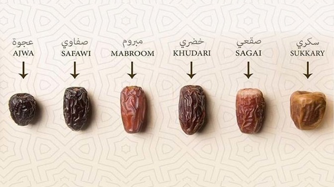 Benefits of date fruit