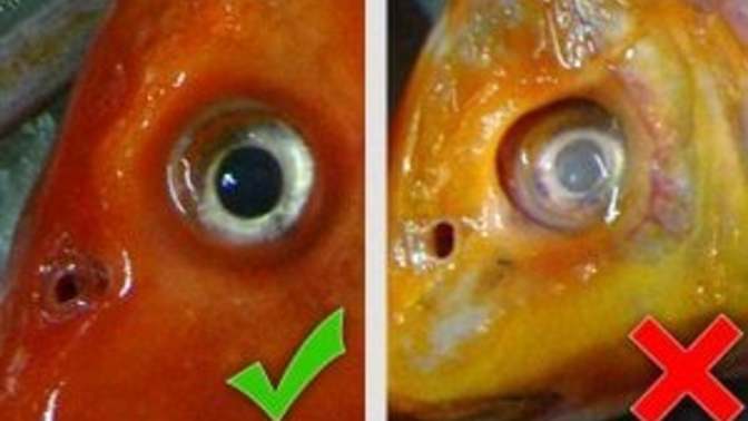 Why bad photos are good for you