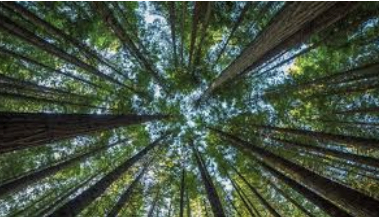 How to have a good life