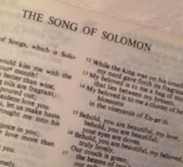 More on Songs of Songs - Part 3
