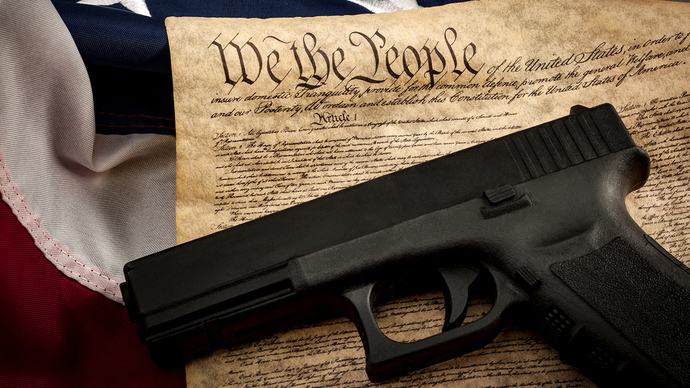 RE: Americans - and Americans ONLY - why do you own a gun? Heres why.