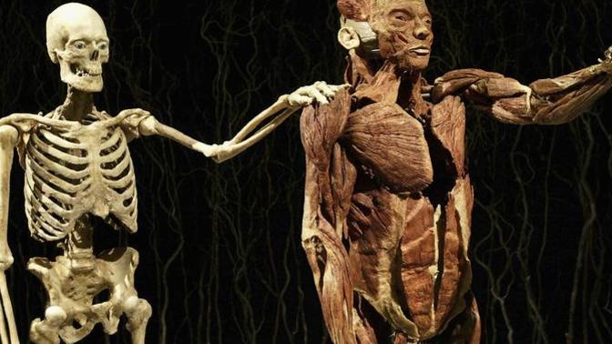 What's Involved in Donating Your Body to Science: What You May and May Not Know