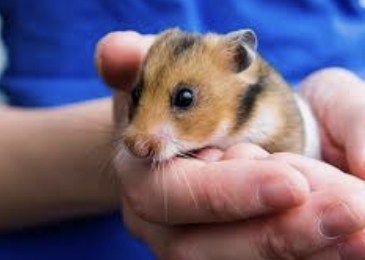 More lies by my stalker at church for those of you who know her - a warning about fake believers