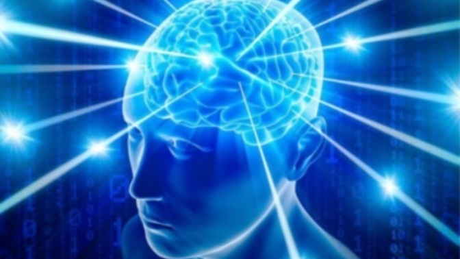 The decline of Human Intelligence: Why Are People Stupid?