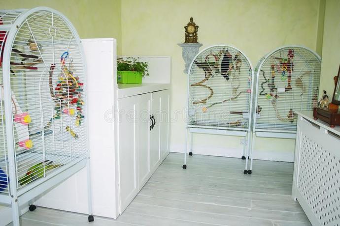 The 5 internal traits to help you realise, youve now become a valuable Man.