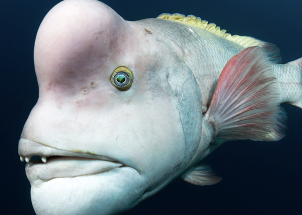 Why some people lack glory in their lives