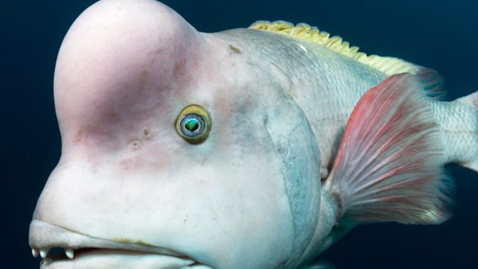 Why some people lack glory in their lives