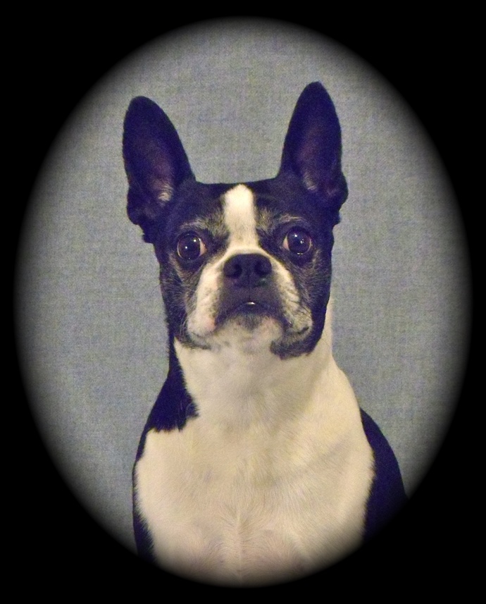 I miss our Boston - - - - - -