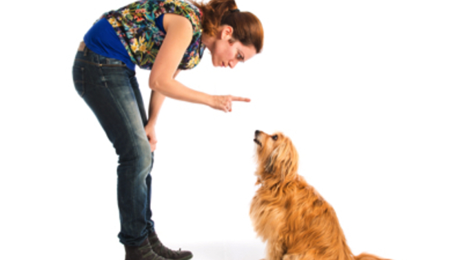 If someone hates dogs let them be.