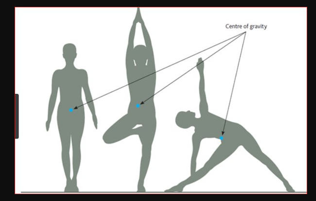 Nature selects: Bunnies Can *Only* Hop, And Heres Why