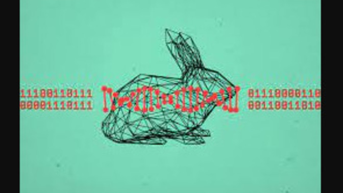 Nature selects: Bunnies Can *Only* Hop, And Here's Why