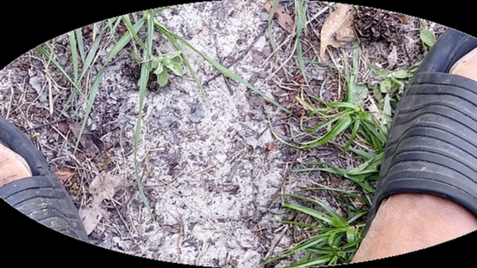 Can You Resonate With This?