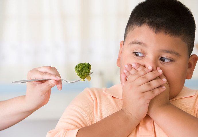 Picky Eater In a Nutshell