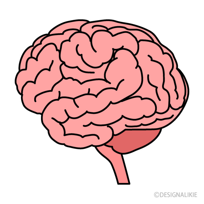 Trusting My Brain = Higher Chance of Success