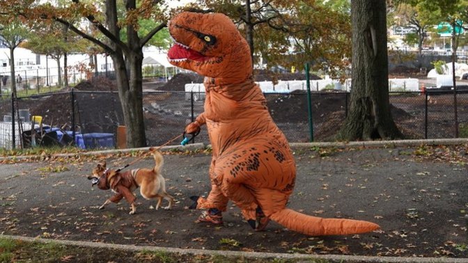Halloween Caption This Contest October 2022!