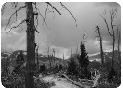 The Applicability of Desolation in the Souls Ascension