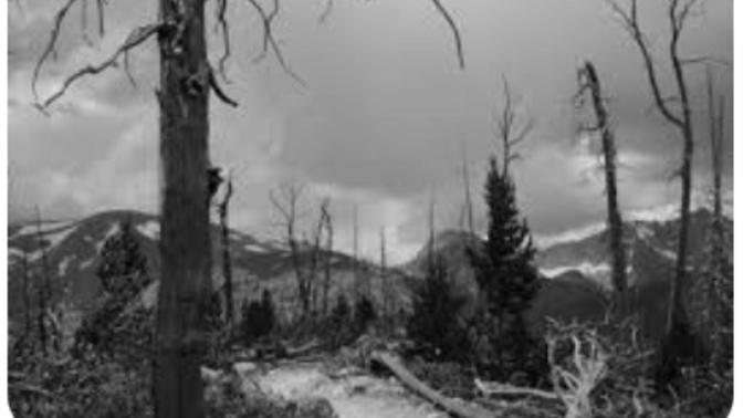 The Applicability of Desolation in the Souls Ascension