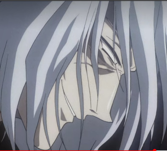 side view of long slender sloped shaped pointy nose