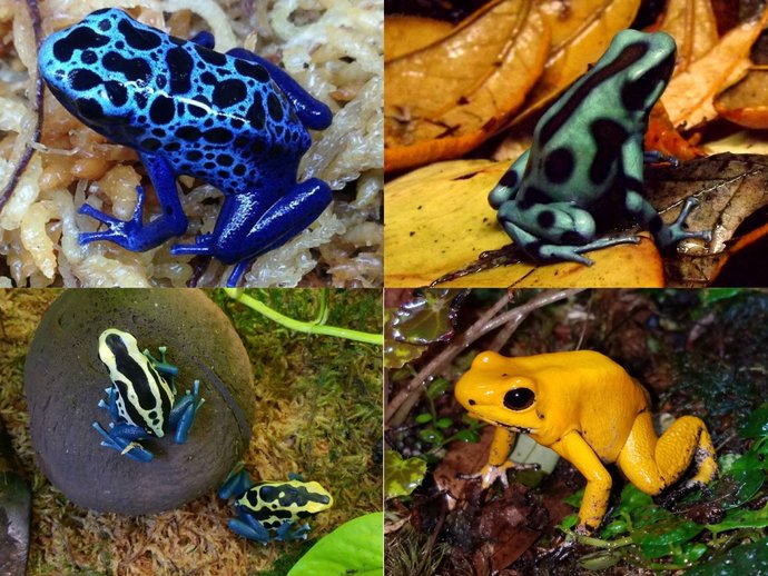 The female equivalent of an incel is a feminist. The male equivalent of a feminist is an incel. They are the same type of person.