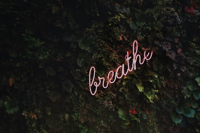 Breathwork and Breathing Practices for Stress Management