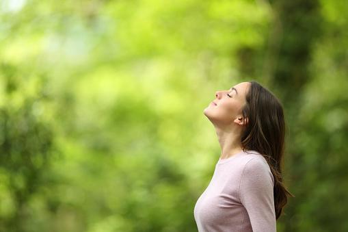 Breathwork and Breathing Practices for Stress Management