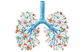 Breathwork and Breathing Practices for Stress Management