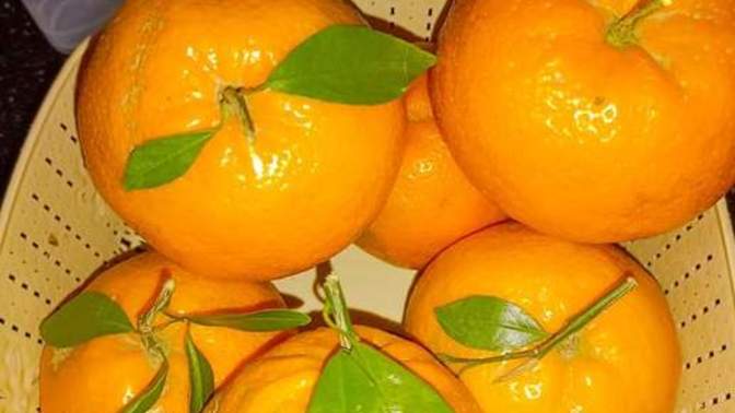 Best fruit 🍊 for diabetic and BP
