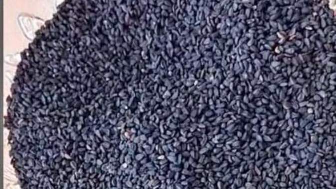 Benefits of Nigella sativa is also called black seed or black cumin.