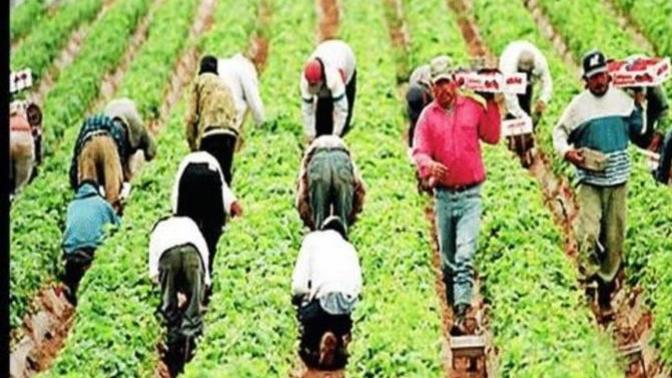 I want to stop wagecucking in the lands for so-so money and OK living standards. Instead live a relaxed lifestyle like in paradise in the Bahamas.