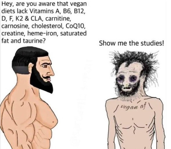 Can non vegan/non vegetarian people be animals lovers?