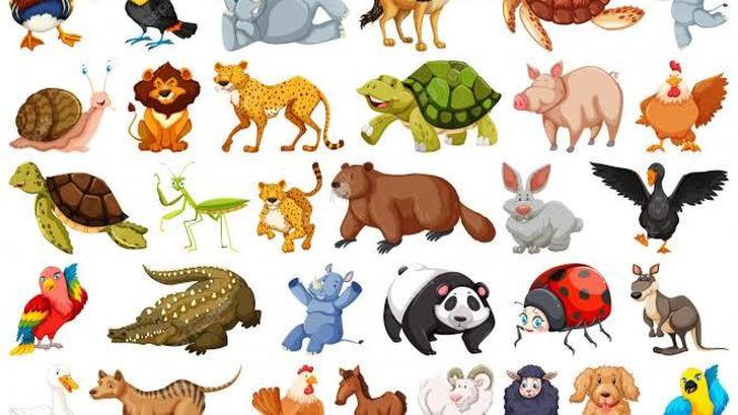 Can non vegan/non vegetarian people be animals lovers?
