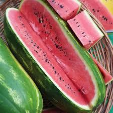 Cookout Season is almost here! Things every cookout should have